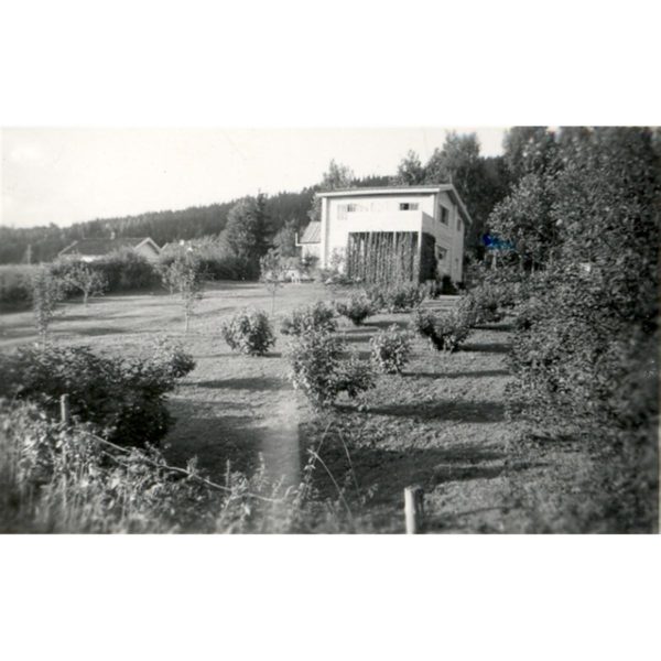 Bjørli_1961